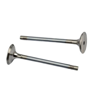 Abgasventil VW 1,2 TSI  Ø Teller 30mm / Ø Schaft 6mm / Länge 98,4mm